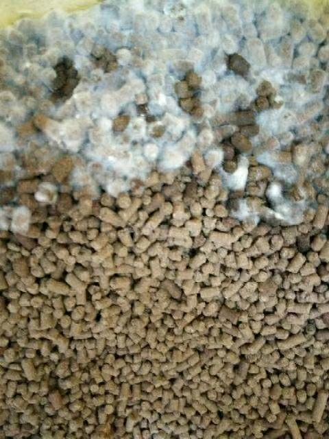 饼肥  发酵豆粕微生物菌肥