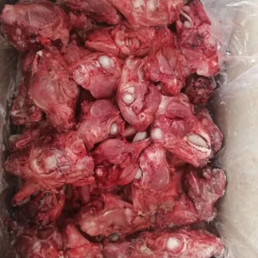 成都兔肉类  鲜兔头