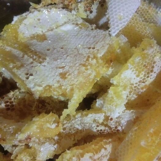 印江县 深山土蜂蜜