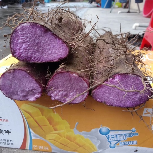 山药种 紫玉淮山种子，免费提供种植技术