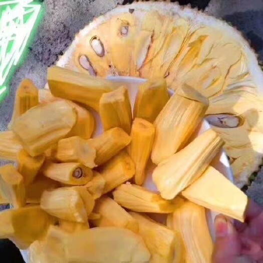 保亭县海南菠萝蜜 纯农家种植非专业管理，货品自然