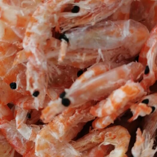 滨州磷虾干 淡干无盐磷虾