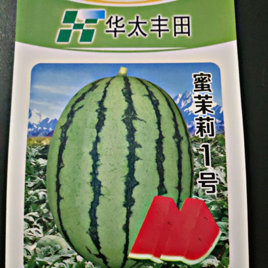 蜜茉莉西瓜种子吊蔓礼品西瓜种子厂家批发