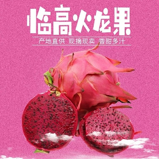 临高县 临高消费扶贫产品 美道村红心火龙果5斤装