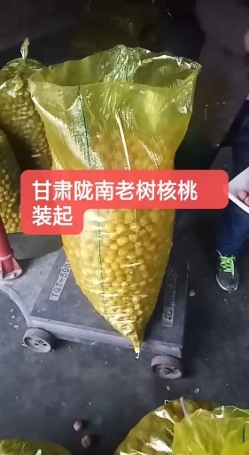 甘肃陇南老树核桃价格便宜，好吃不上火