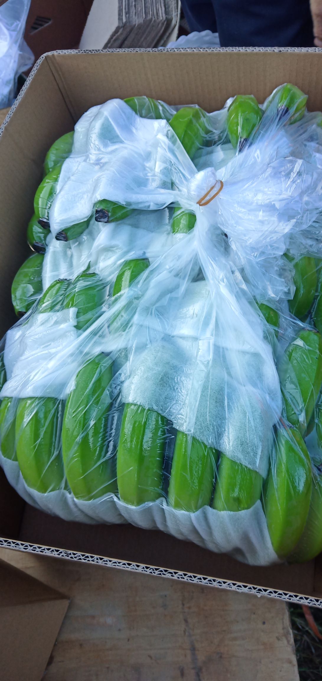 缅甸香蕉 寒货