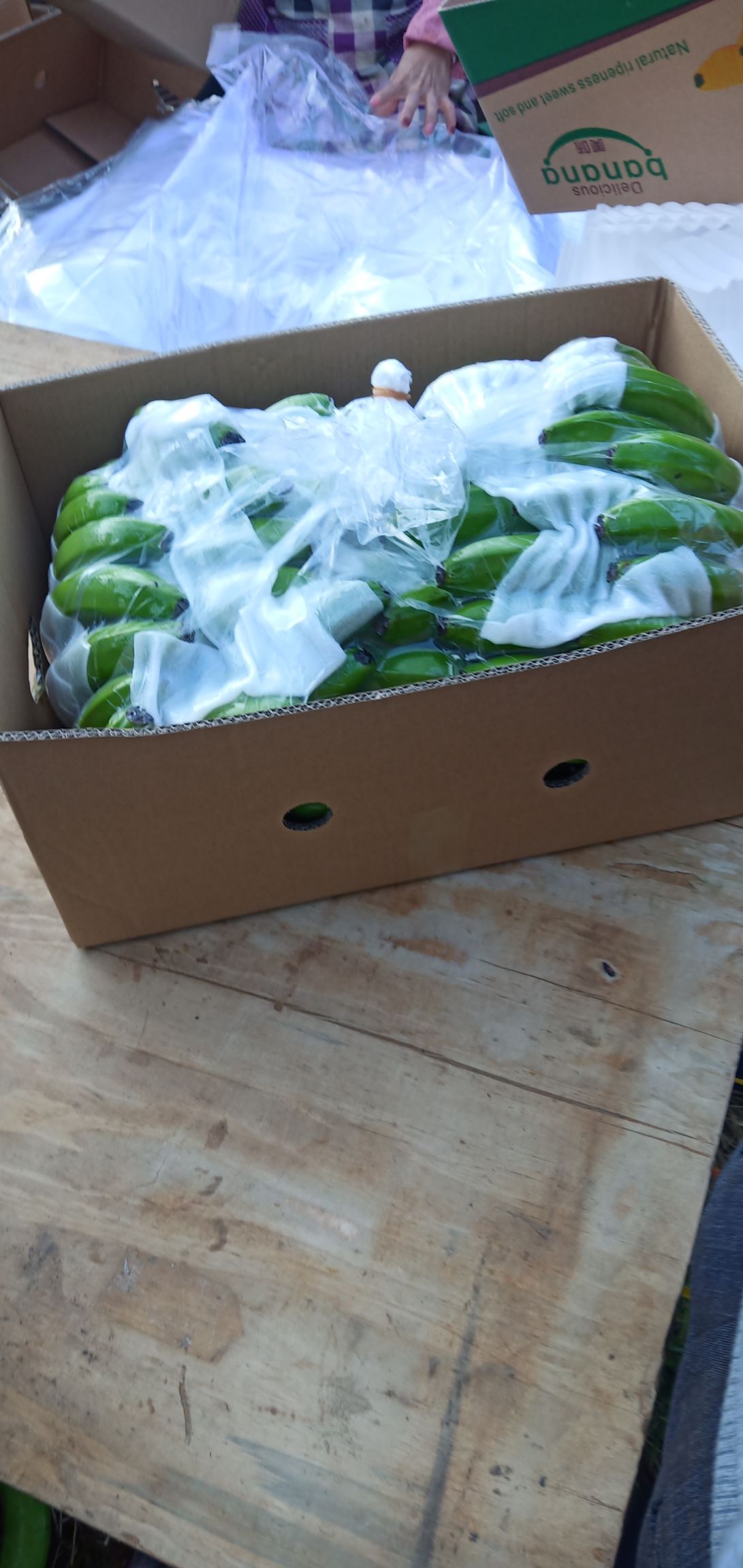 缅甸香蕉 寒货