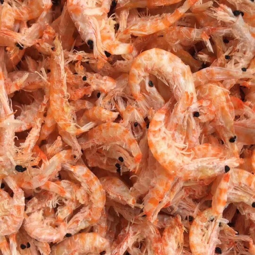 东港市磷虾干  南极麟虾麟虾干品