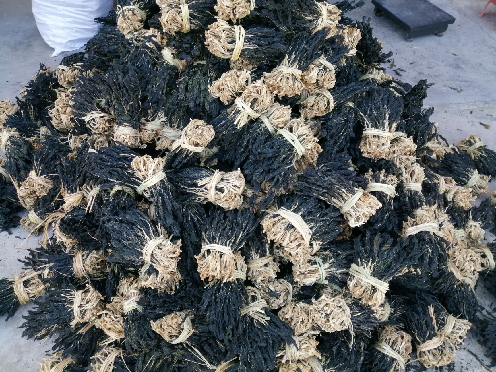 脱水白菜干  白菜干 广东产地直销统货  有种苗 加工技术