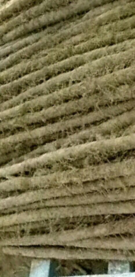  河北山药产地直销