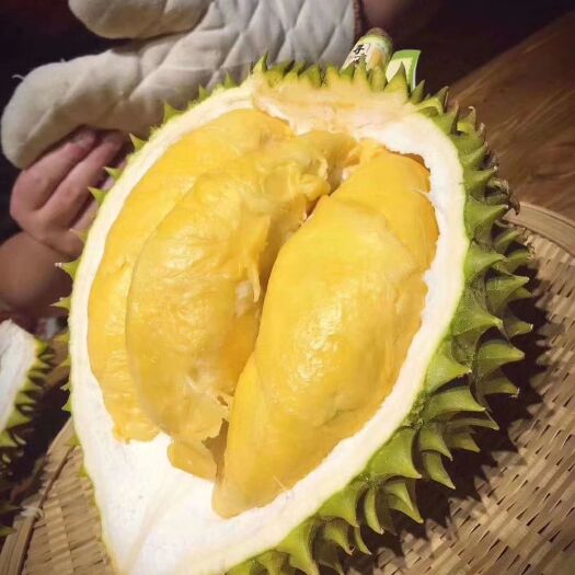 凭祥市 榴莲  果农现摘 边境发货 一件代发 一件起批