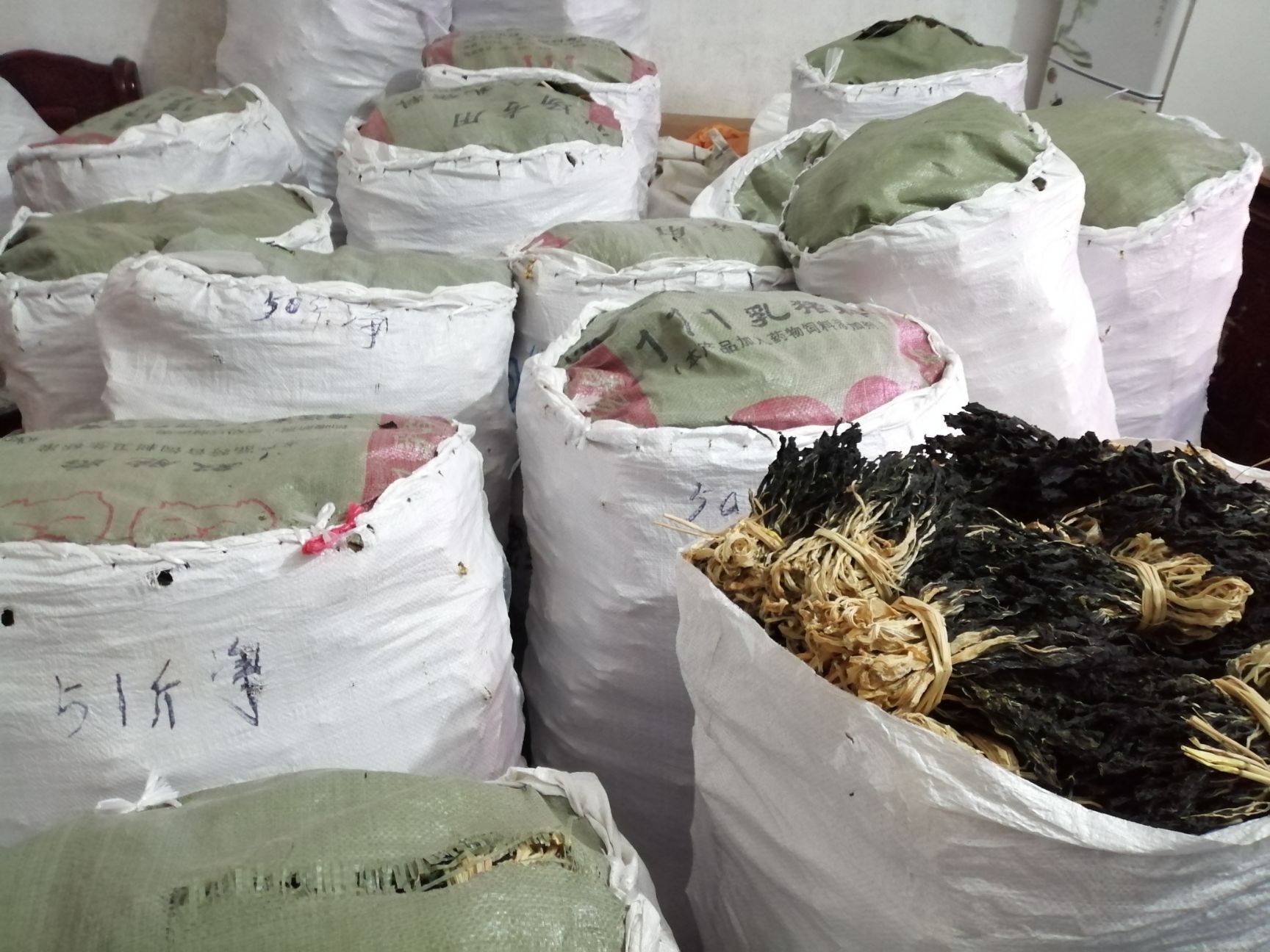 脱水白菜干  白菜干 广东产地直销统货  有种苗 加工技术