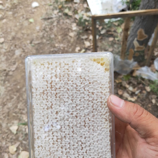 临城县蜂巢蜜 你买的是健康，我卖的是诚信。