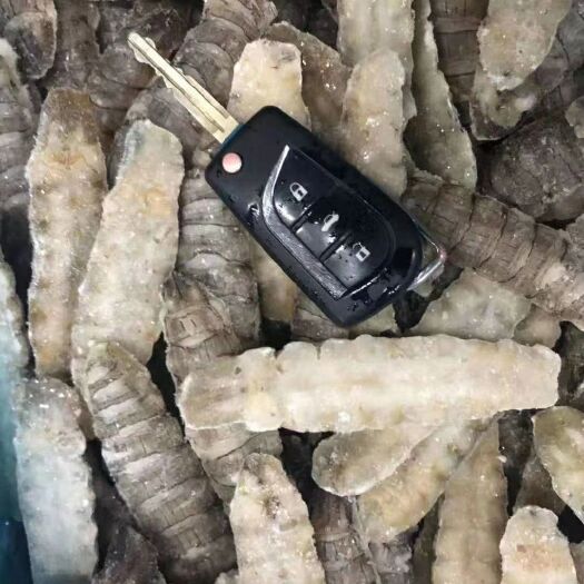 济南 皮皮虾肉（熟冻）