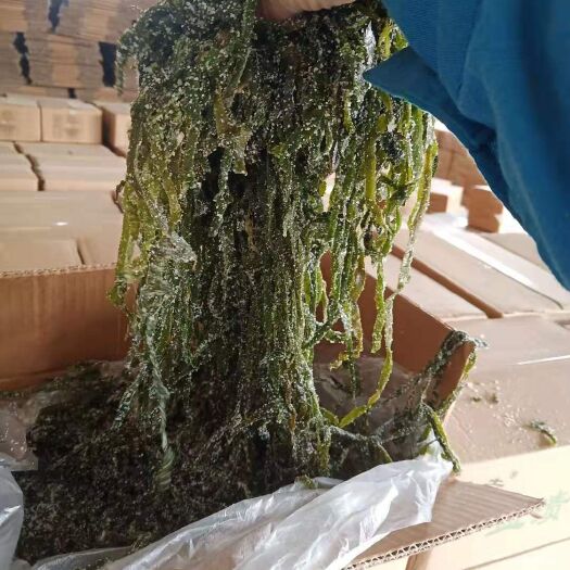 荣成市山东荣成海带丝边丝基地供货一手货源适合摆地摊