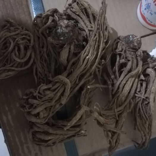 昆明云当归 自己家的