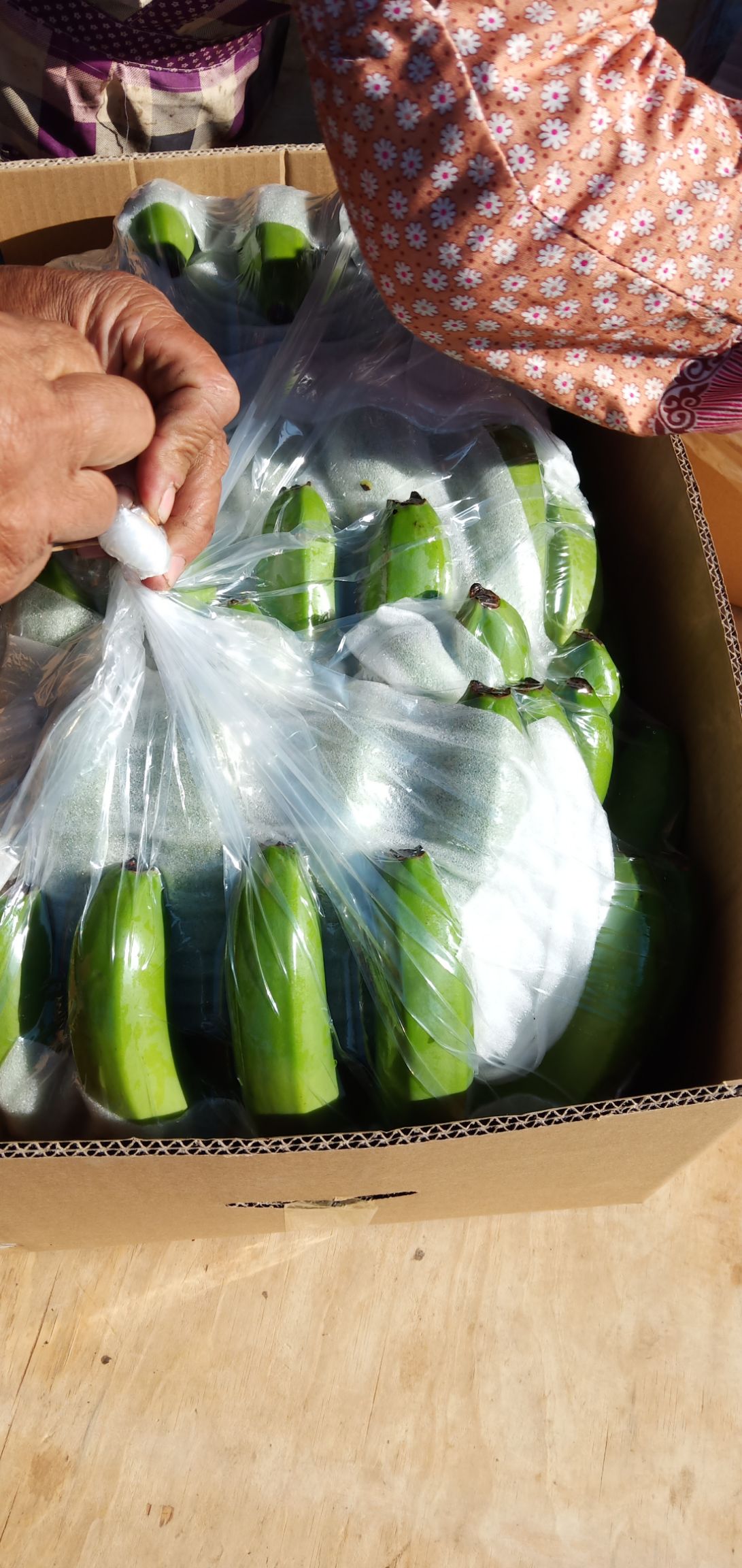 缅甸香蕉 寒货