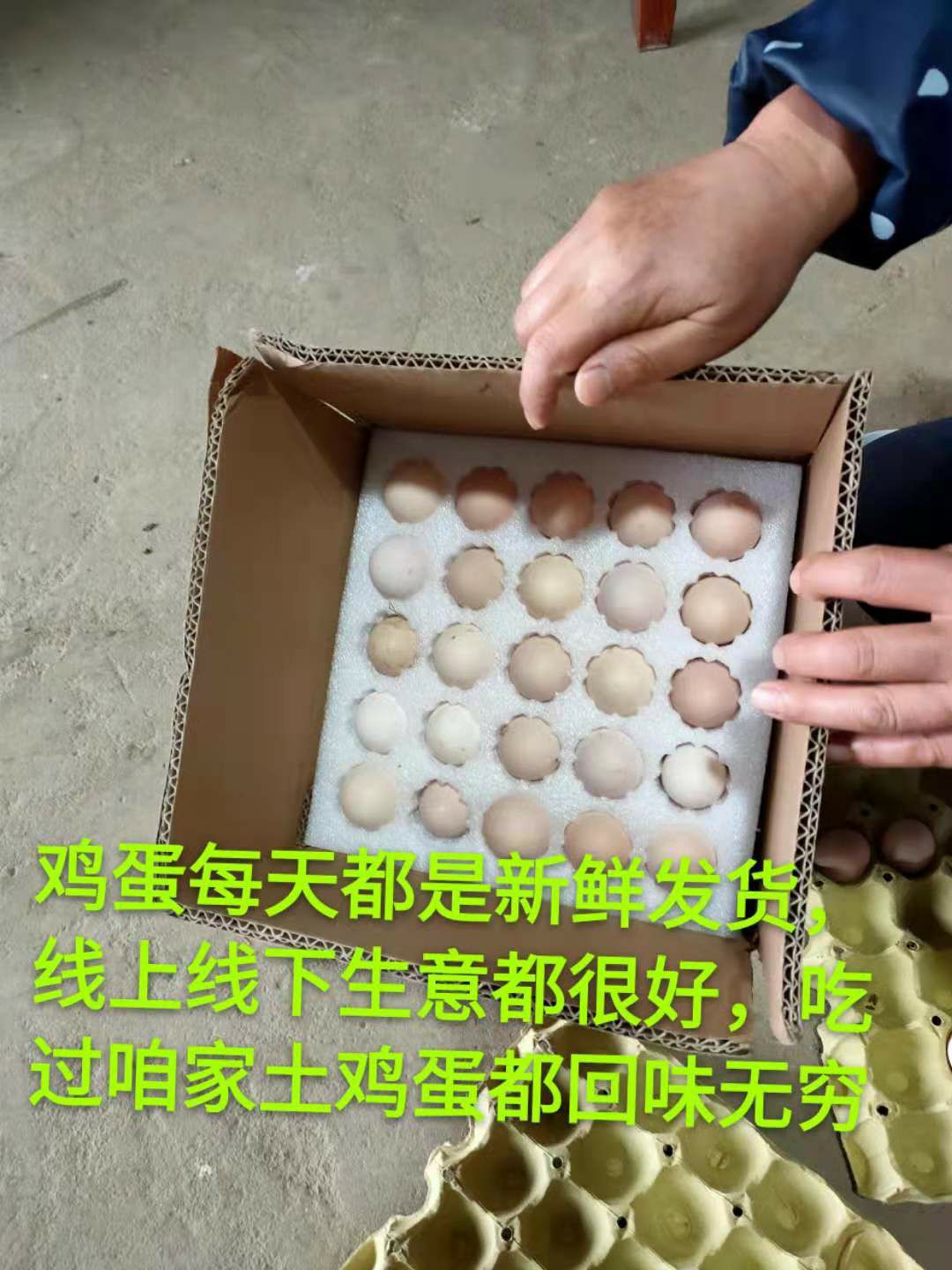  枞阳县芳庄圩家庭农场 农家土鸡，土鸡蛋，垂钓。