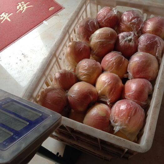 红富士苹果  全国现代果业十强县大沙河红富，皮薄肉厚汁多味美。
