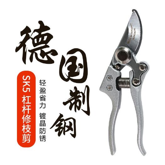 修枝剪刀 剪枝剪刀園藝剪樹(shù)枝修枝剪花剪園林省力花藝工具果樹(shù)修剪粗枝剪子