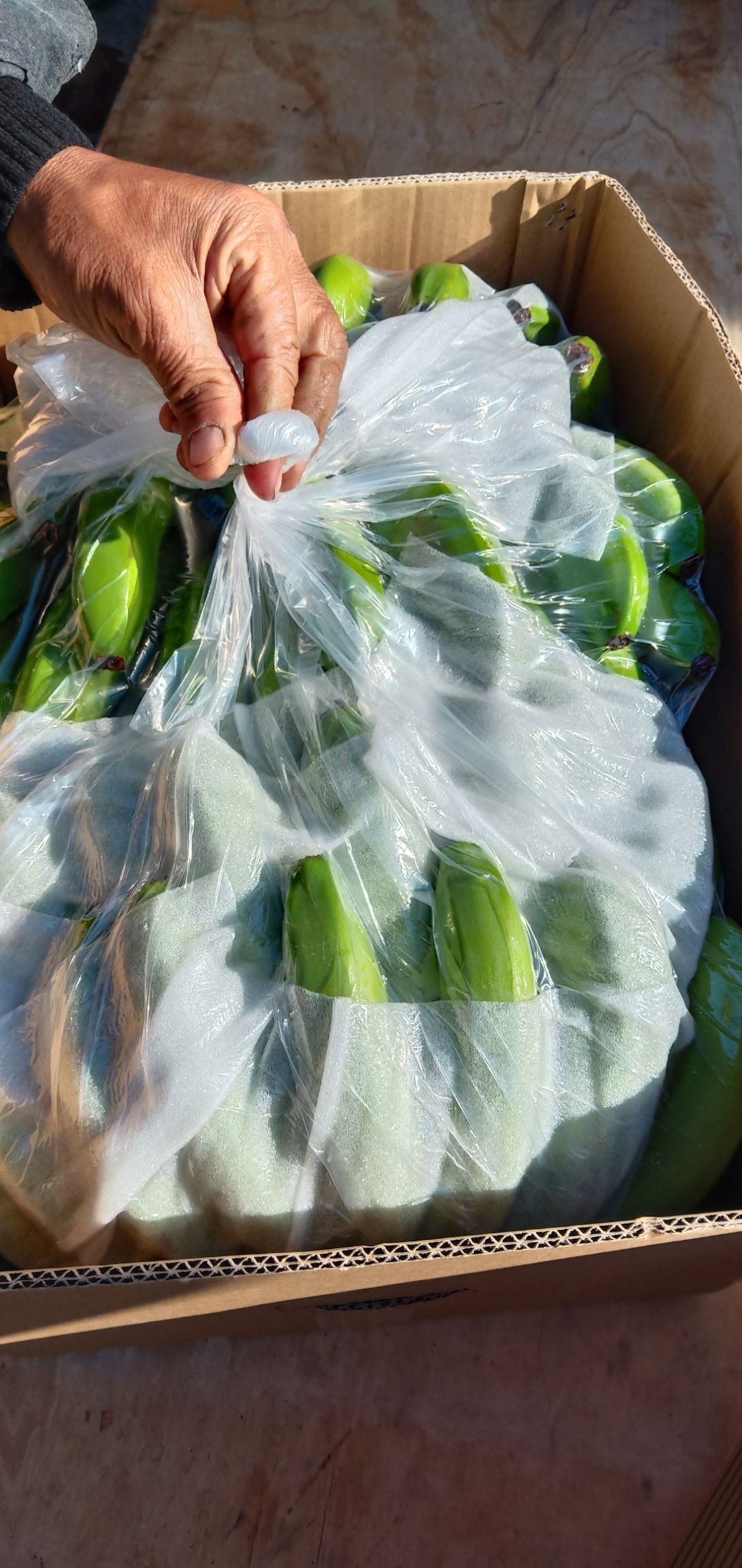 缅甸香蕉 寒货