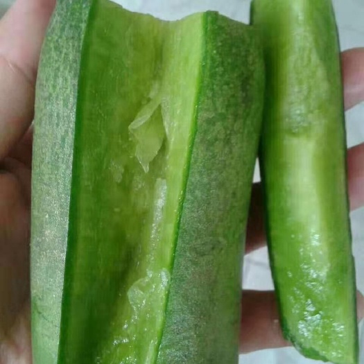 潍坊 正宗潍坊萝卜