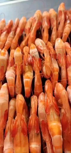 滨州烤虾，勃海湾海水虾，盐分很低，干度很好，原产产地发货价格便宜