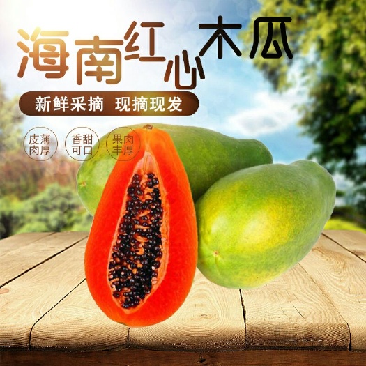 南宁海南红心木瓜五斤装9.9元  一件代发