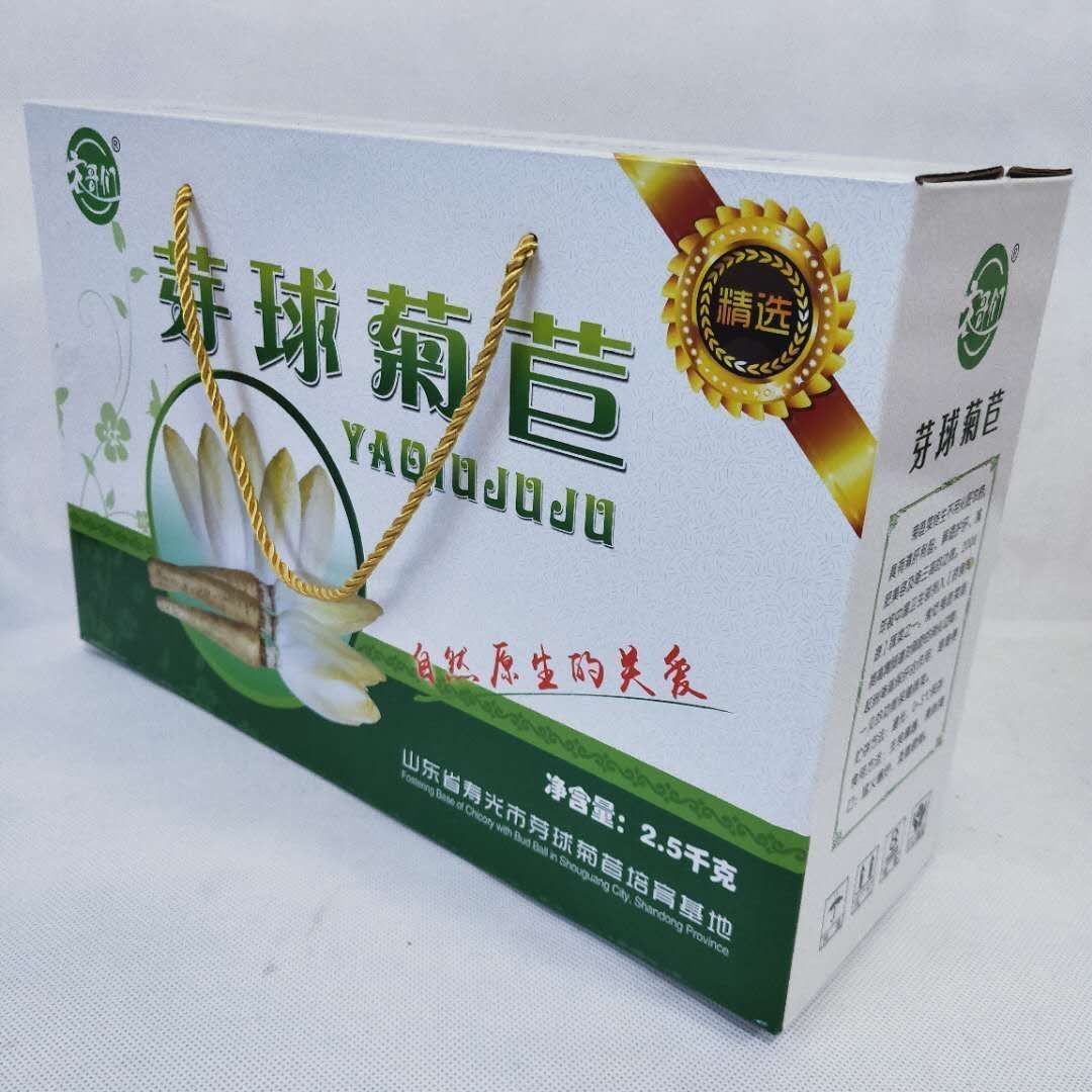 玉兰菜 芽球菊苣，金玉兰，山东基地直供