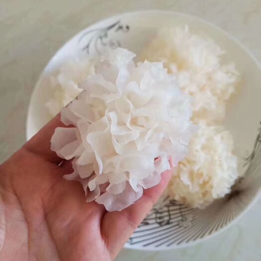 大兴安岭椴木银耳  椴木小银耳