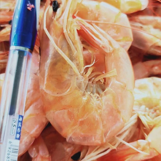 东港市 对虾干烤对虾