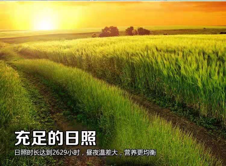 五常稻花香2号 一等粳米 黑龙江省哈尔滨市五常市发货