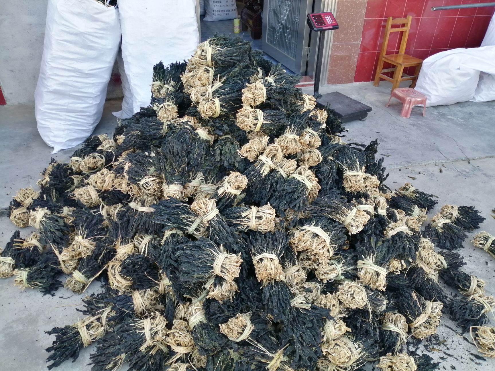 脱水白菜干  白菜干 广东产地直销统货  有种苗 加工技术