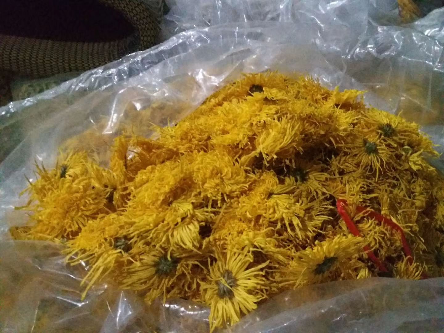 金丝皇菊花茶 精品金丝金丝皇菊去火消 炎厂家直销包邮