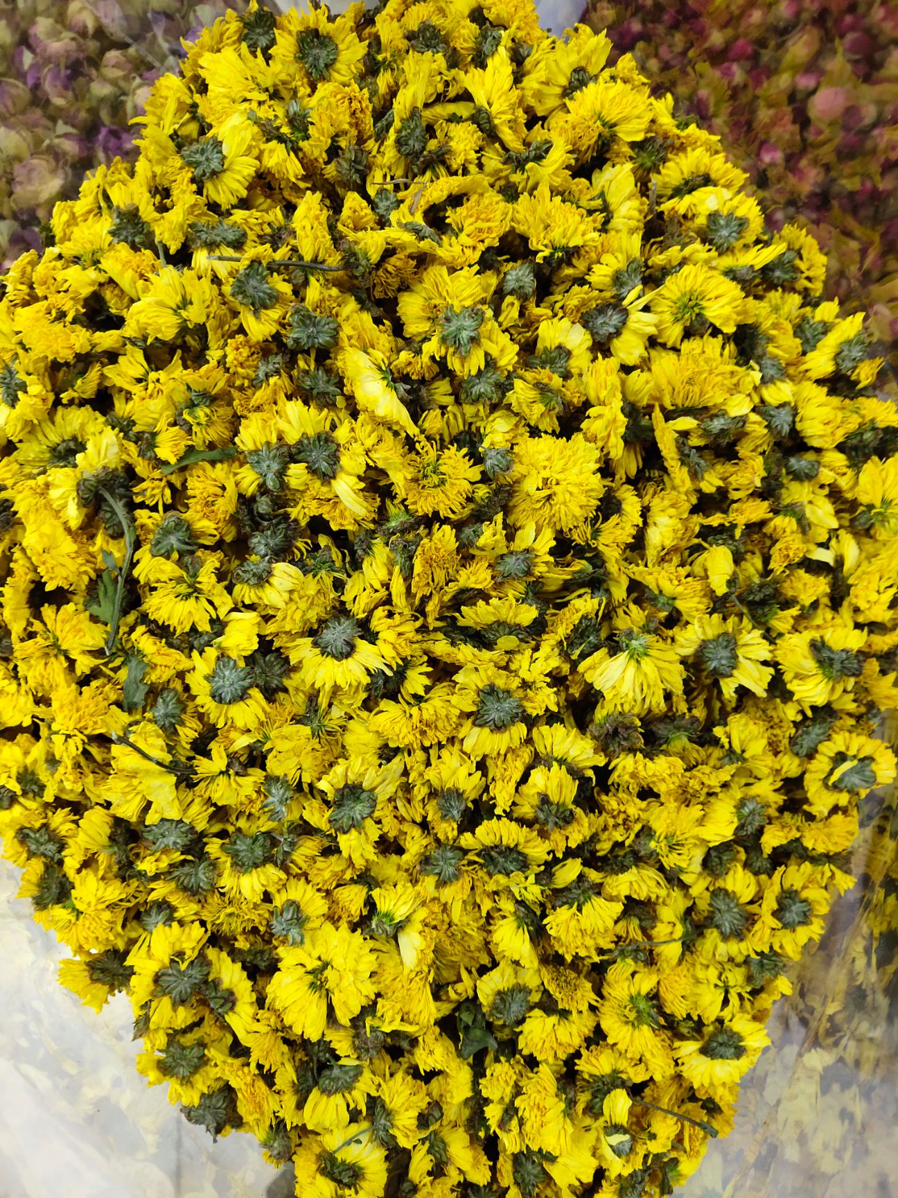 金丝皇菊花茶 精品金丝金丝皇菊去火消 炎厂家直销包邮