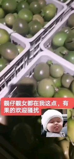 芒市 百香果西番莲直供红果转色果批发电商市场