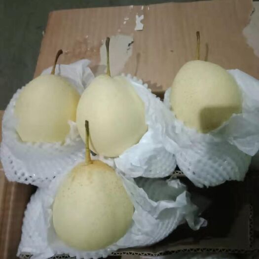 赵县 水晶丫梨皮薄肉厚汁多可口