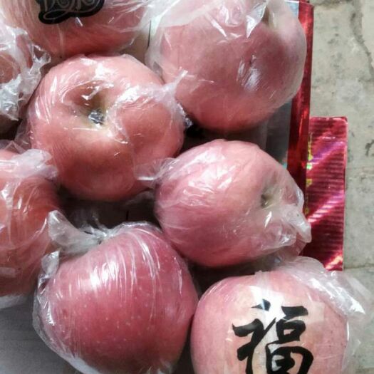 礼泉县 陕西红富士苹果质量保证，