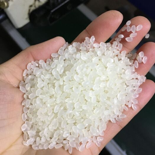 2022年新米粳米秋田小町珍珠米超级稻批发工厂直供