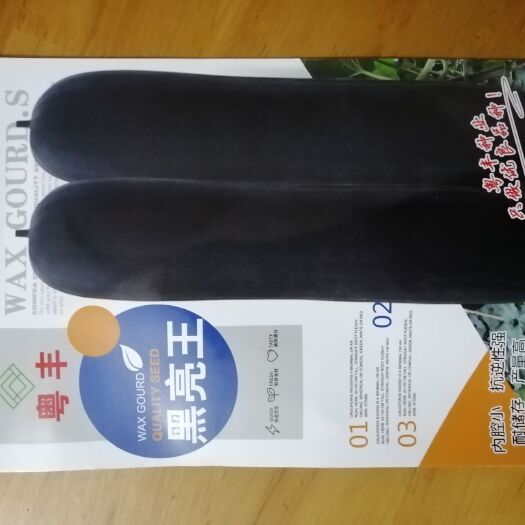 英德市冬瓜种子 高产，色泽好，转色快，卖相好，耐存瓜，运输性强