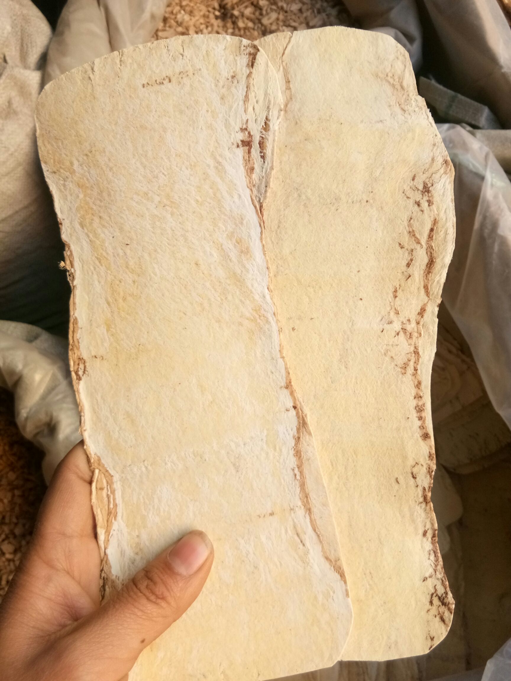 黄芪 大压片 正品包邮 正北芪宽片  补佳品  煲汤泡水