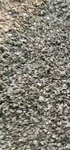 尉氏县 常年供应，纯颗粒的小鸡粪