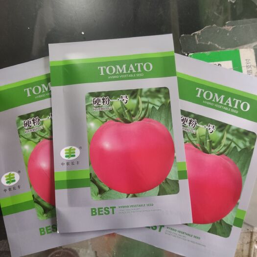 硬粉番茄种子 番茄种子 无限生长，粉果 硬度强，高产。（1000）粒。
