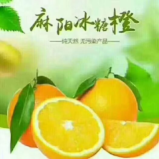 麻阳县 麻阳冰糖橙，原产地，自产直销。原汁原味！