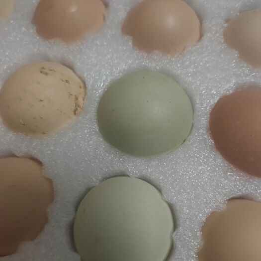 竹溪县土鸡蛋 食用 箱装