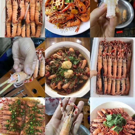 济南小龙虾 小虾