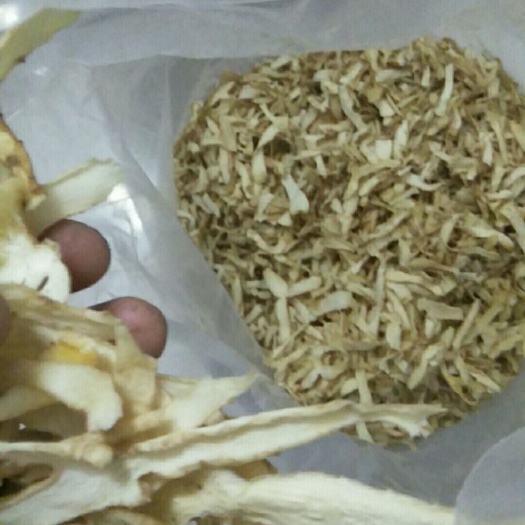 连州市玉竹