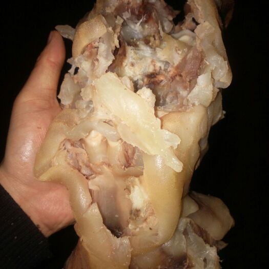 阳信县牛蹄筋 牛蹄