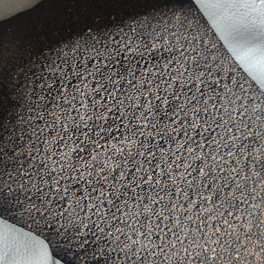 茼蒿種子 牙率95以上 抗病  適應(yīng)性強(qiáng)  畝用5斤左