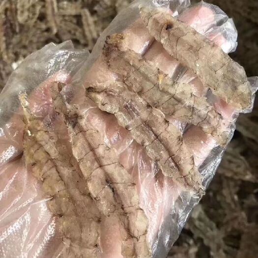 汕头皮皮虾肉